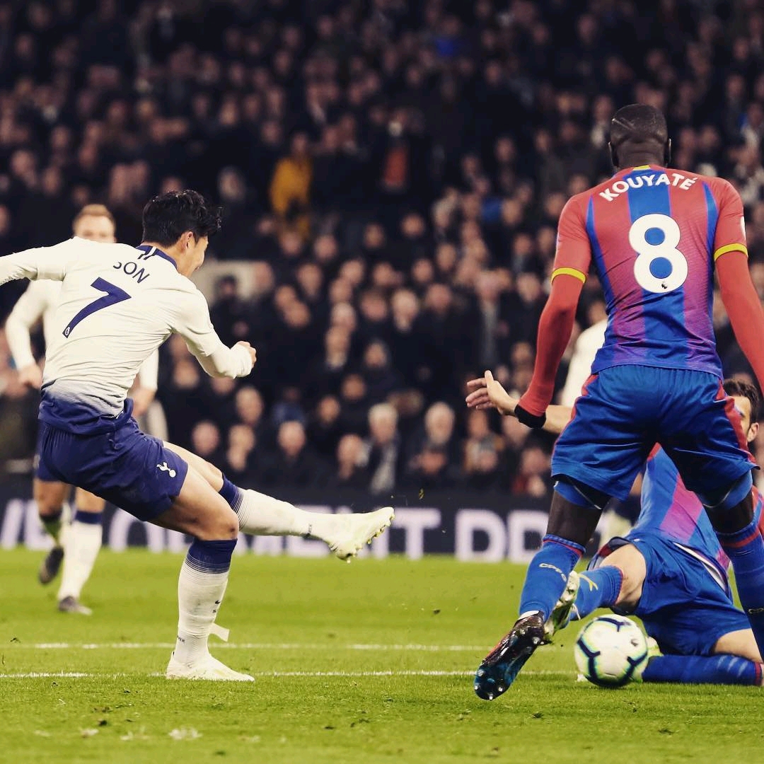 热爱教学的 热爱教学的